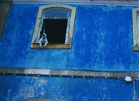 No one gets the blues, or any other adverse side effects, when it comes to using natural paints, powders, and pigments. Opposite, blue oxide and yellow ochre are a spirit-lifting combination.